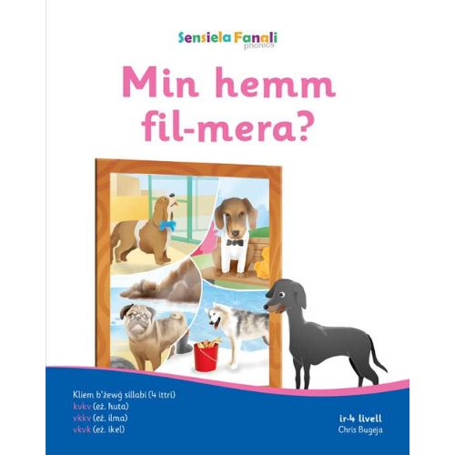 Sensiela Fanali - Various Books/Levels