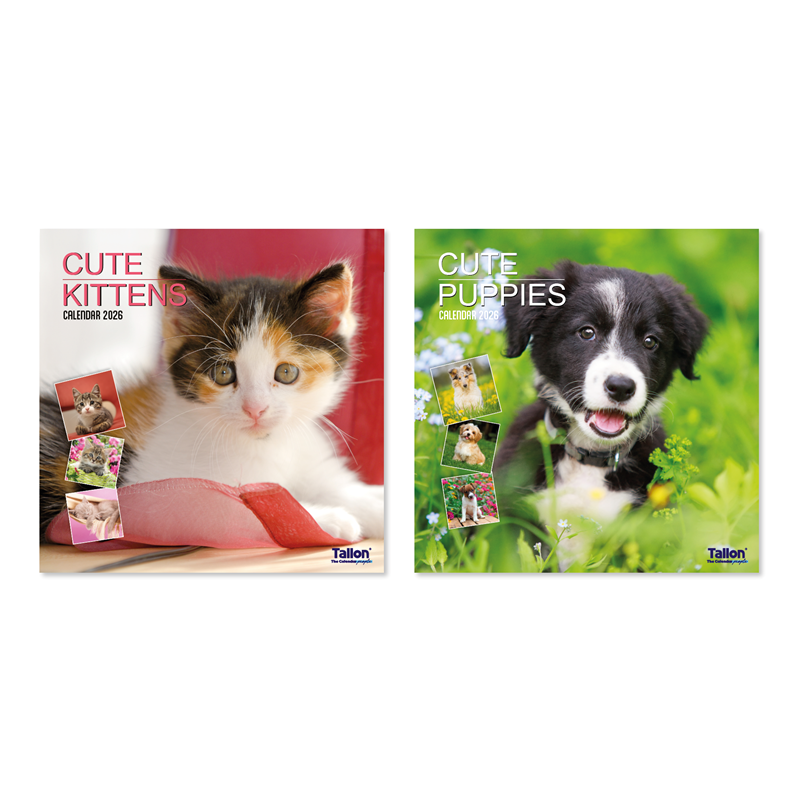Tallon Calendar Square 2026 - Kittens & Puppies x 1pc Assortment
