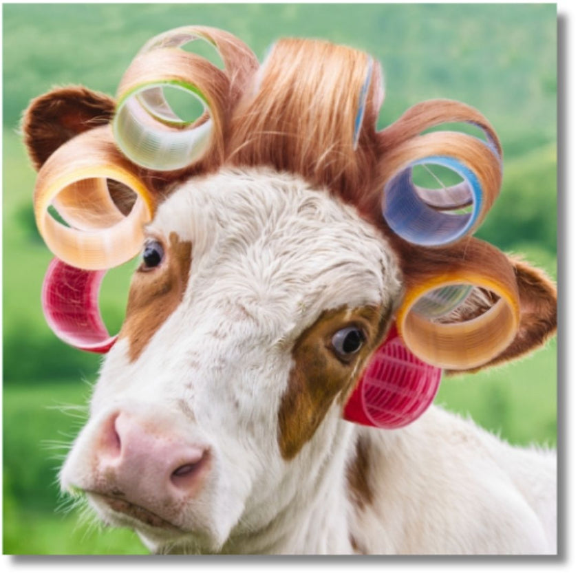 Noel Tatt Fancy Cow Blank - Greeting Card