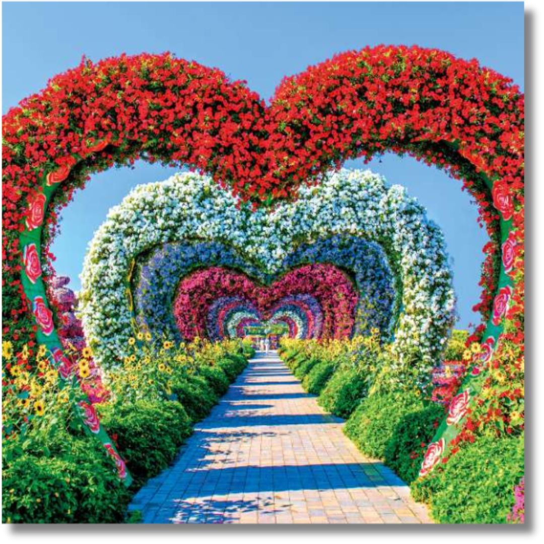 Noel Tatt Floral Alley Blank - Greeting Card