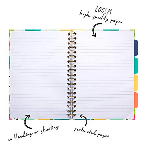 B5 Carpe Diem Project Book With Dividers Colour Wash - Colour Stripes