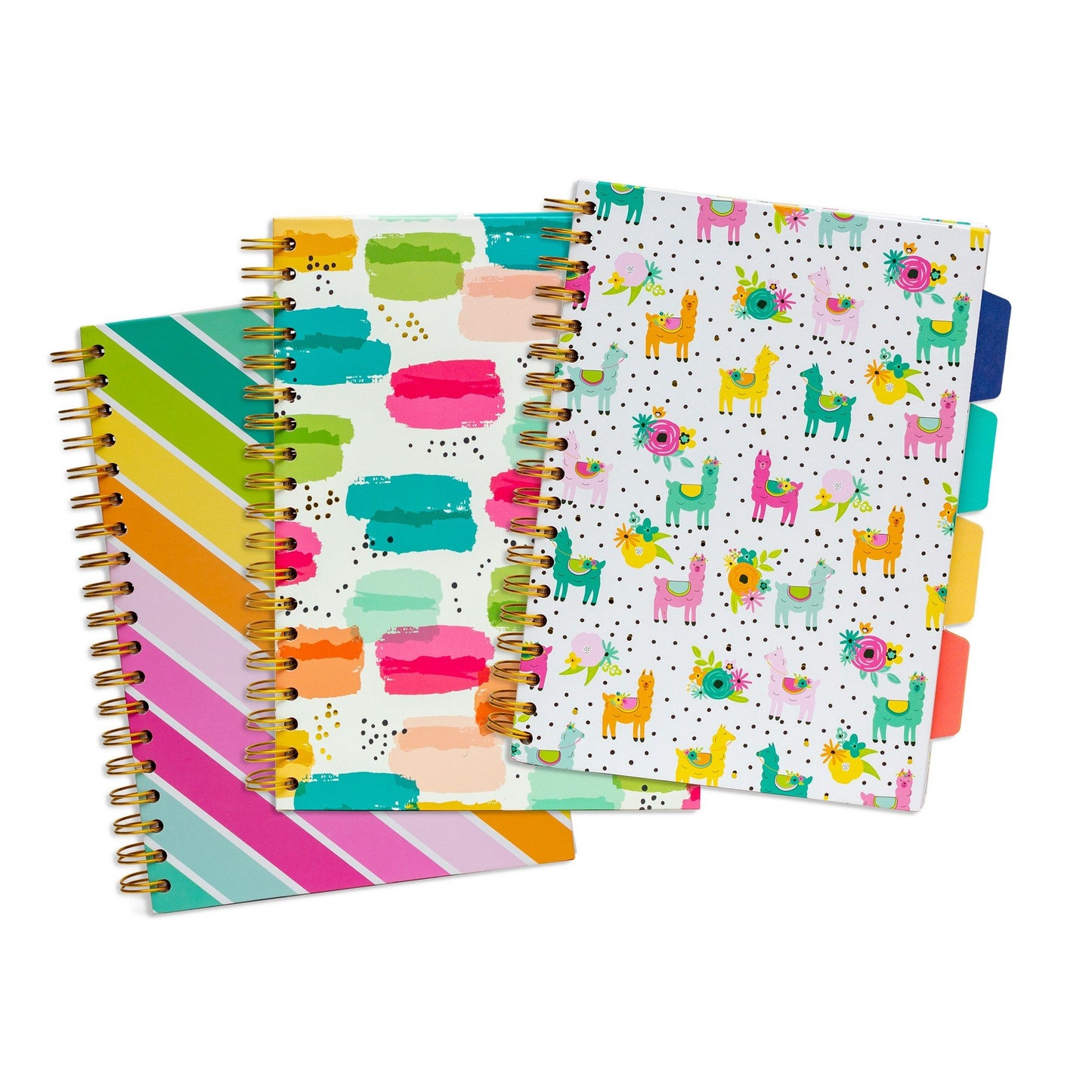 B5 Carpe Diem Project Book With Dividers Colour Wash - Colour Stripes