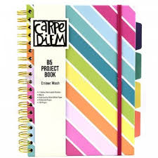 B5 Carpe Diem Project Book With Dividers Colour Wash - Colour Stripes