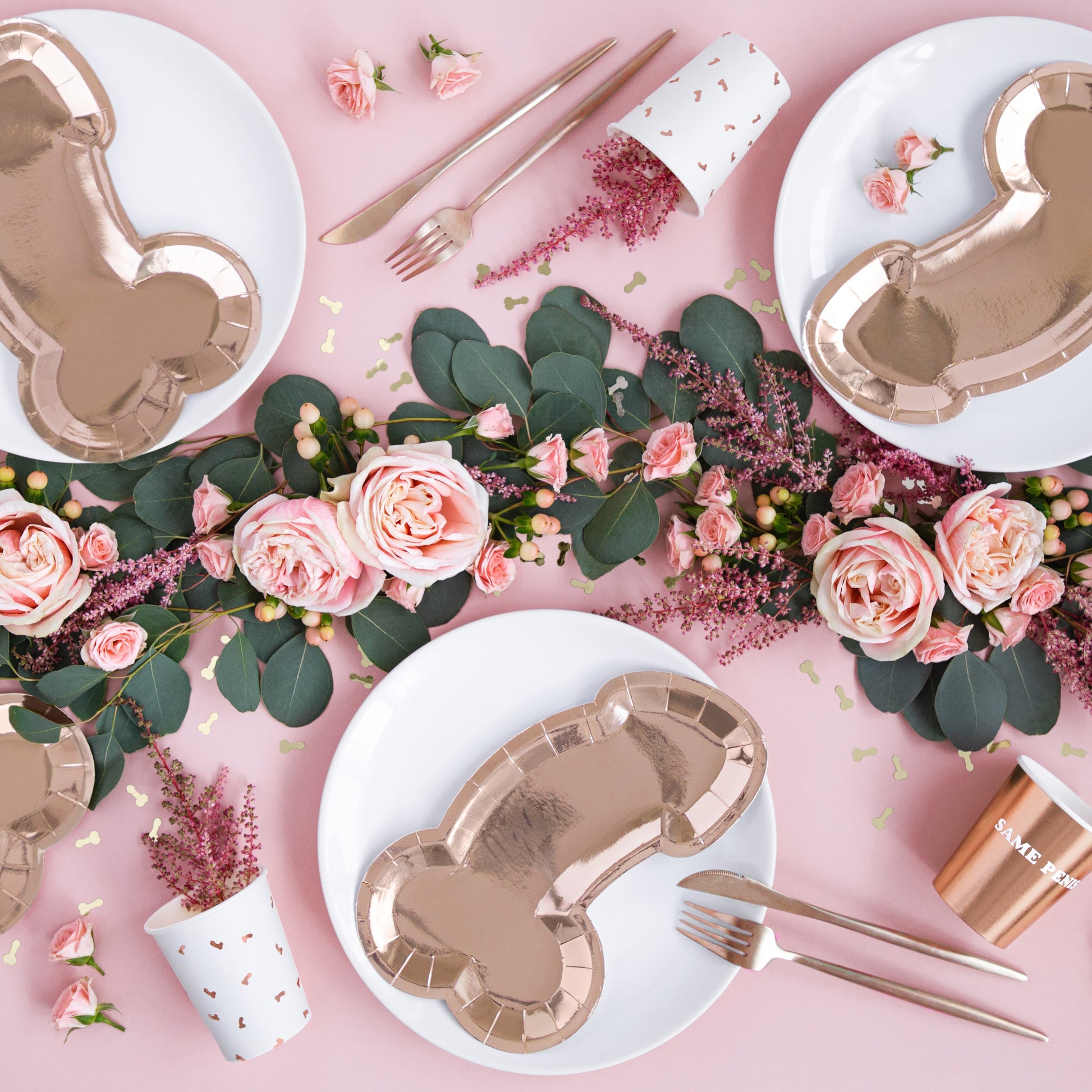 Party Deco Plates 26.5 x 15.5cm A Pack Of 6pcs - Bridal Shower / Penis
