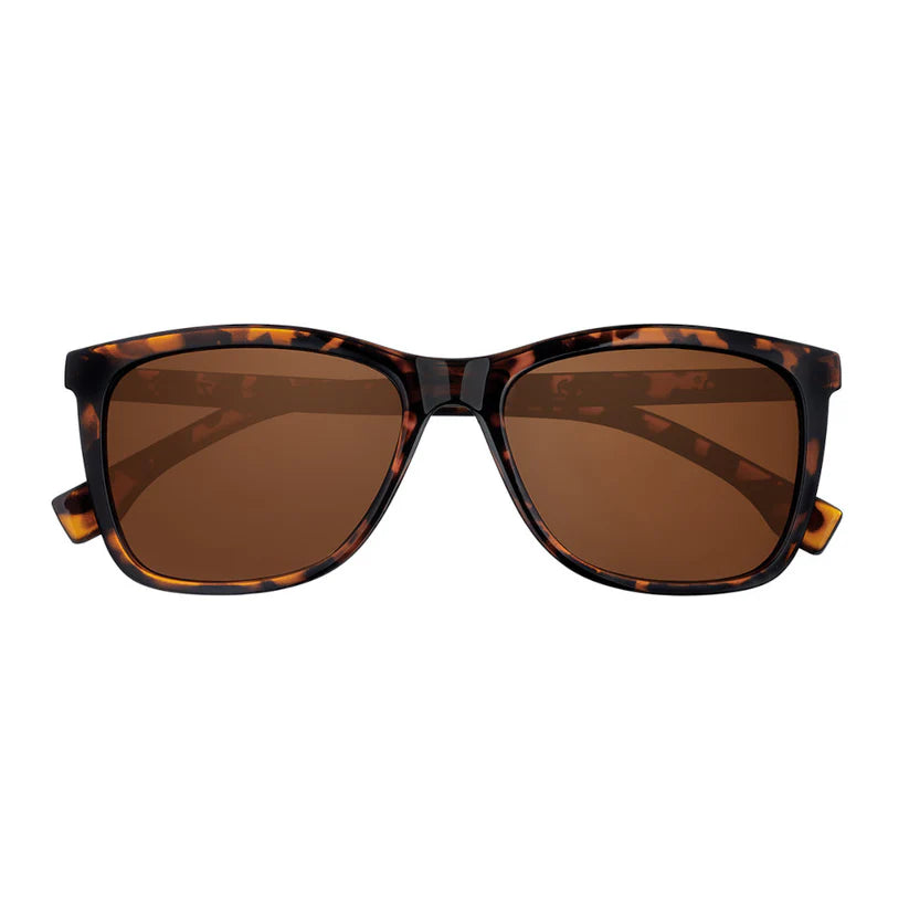 Zippo Sunglasses Tortoise/Brown OB223-4