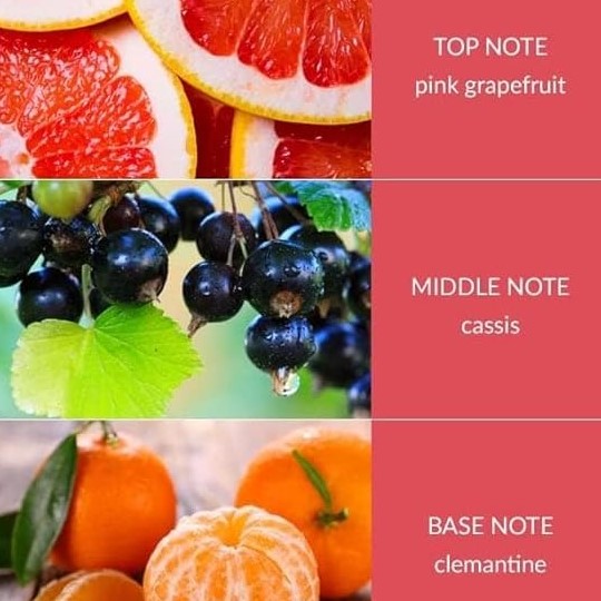 H&H Fragrance Diffuser 70ml - Pink Grapefruit & Cassis