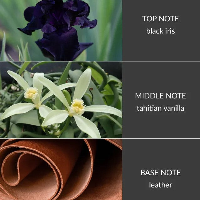 H&H Two Wick Ellipse Candle 220g - Black Vanilla