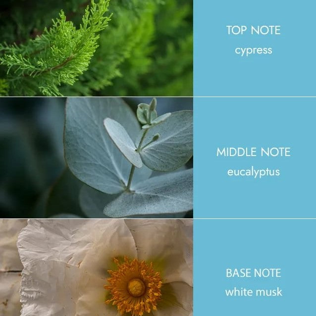 H&H Two Wick Ellipse Candle 220g - Tranquility