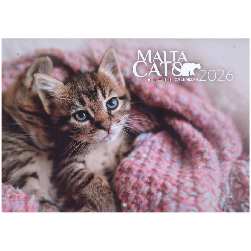 2026 A4 Calendar - Malta Cats