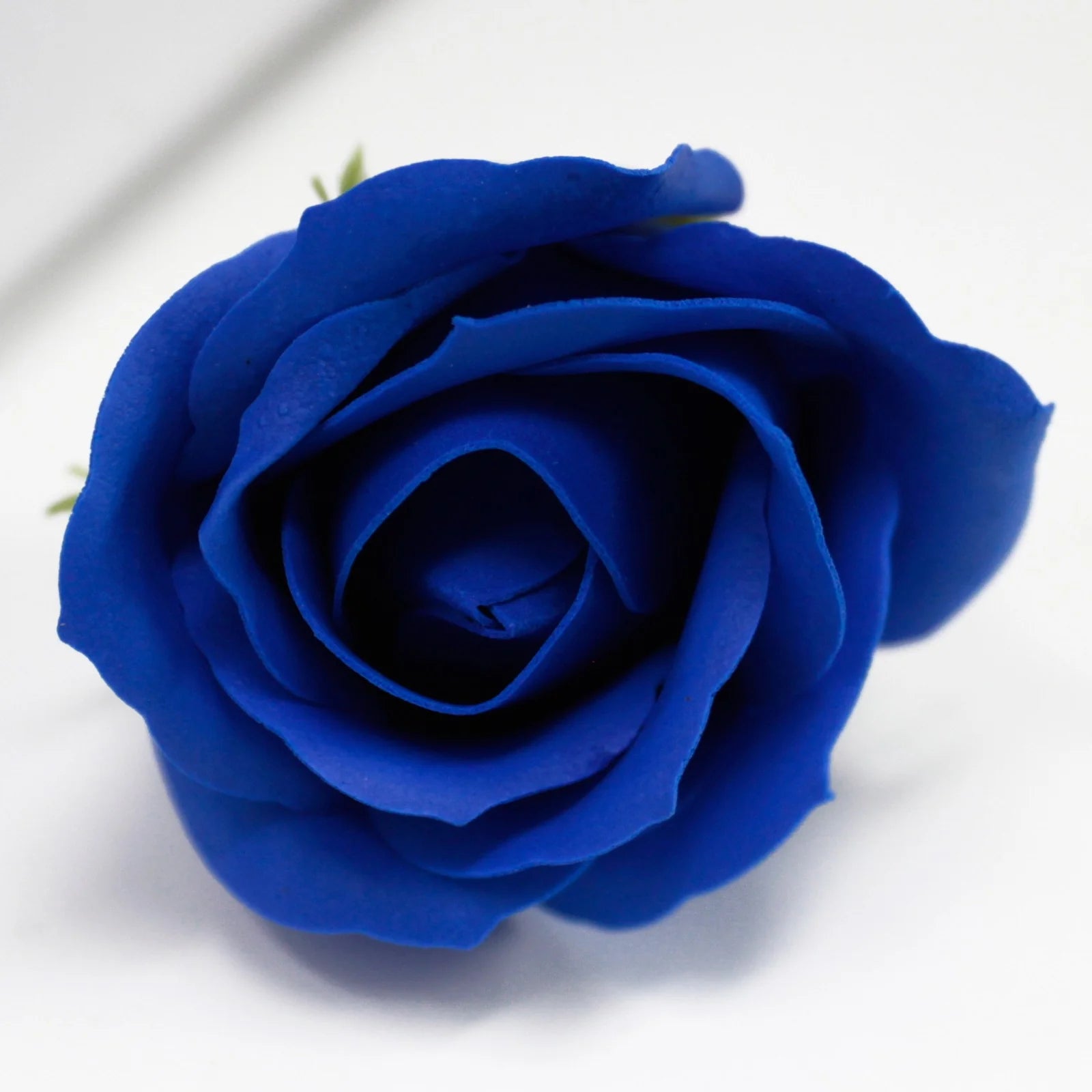 Just For You Rose Soap Blue