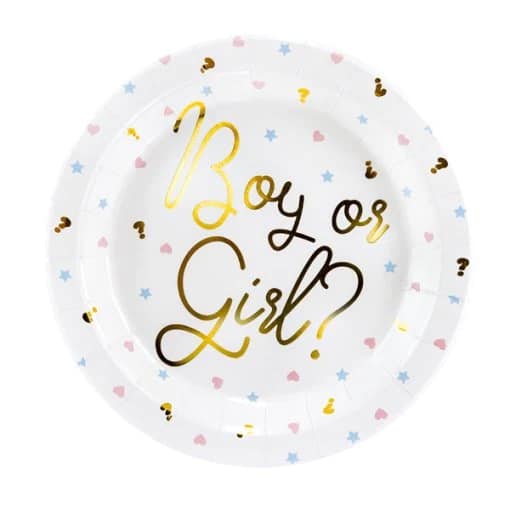 Party Deco Paper Plates 23cm A Pack Of 6pcs - Boy Or Girl?