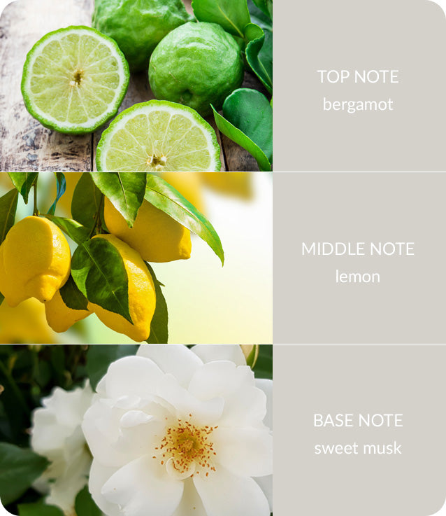 H&H Guardian Angel Two Wick Ellipse Candle