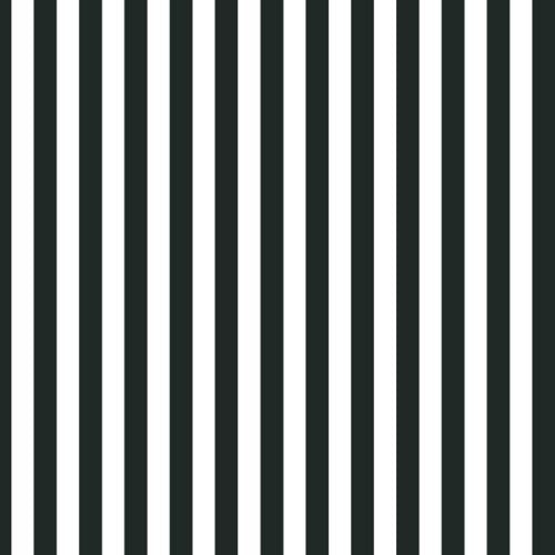 Unique Napkins A Pack Of 16pcs - Midnight Black Stripes