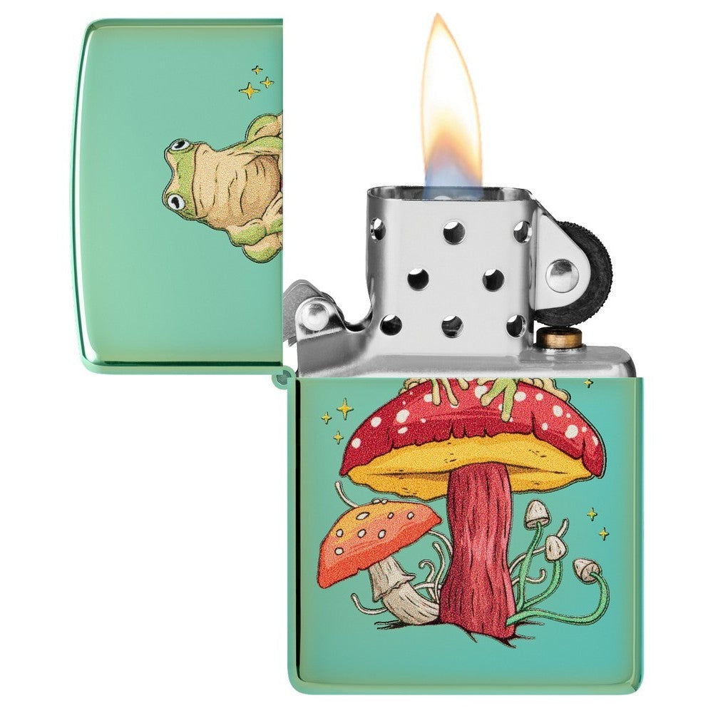 Zippo 48973 Mystical Frog Design