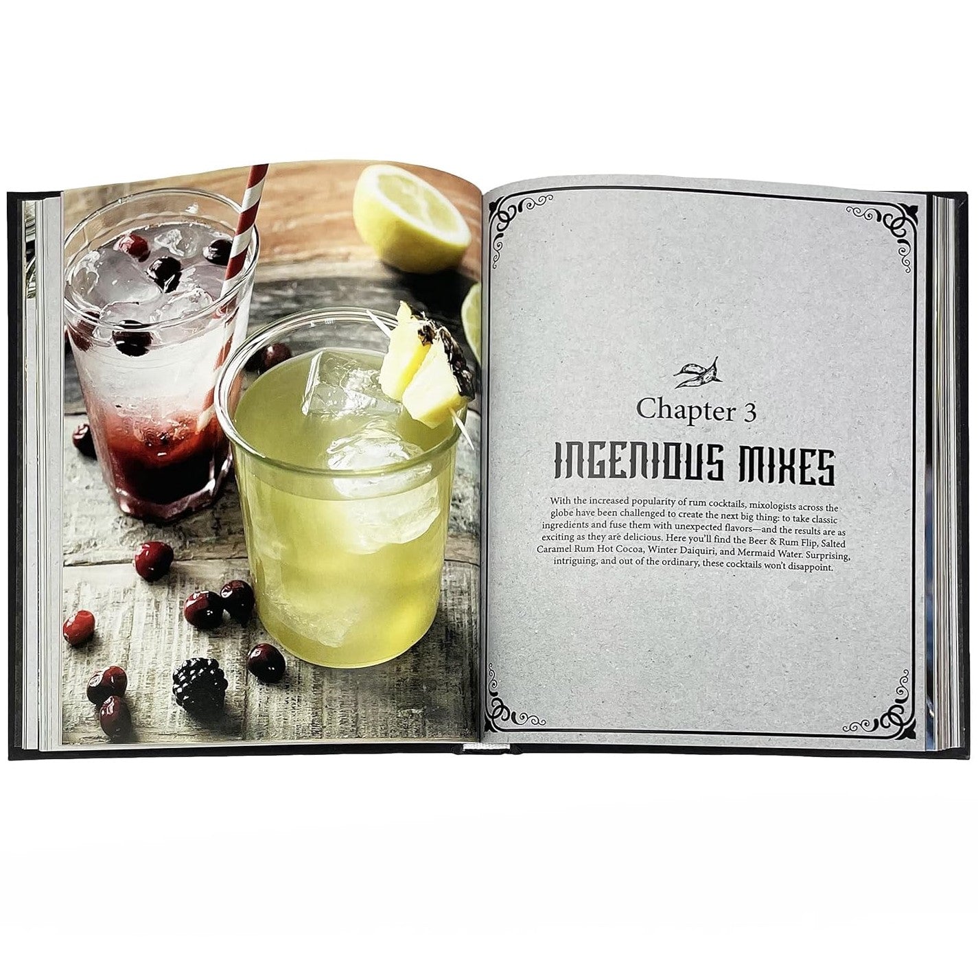 Art Of Mixology - The Bartender's Guide To Rum - Hardcover