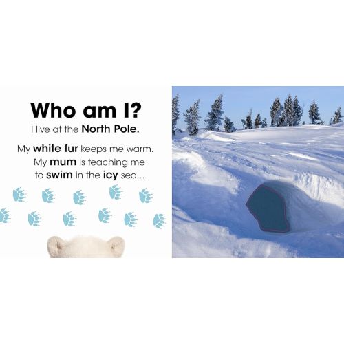 Who am I? Snowy Animals