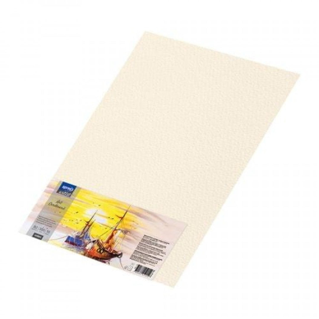 B2 Spree - Art Cardboard 300gsm A Pack Of 10 Sheets - 70 x 50cm