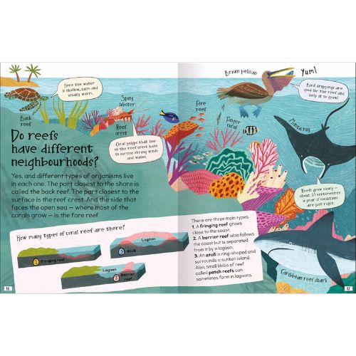 Curious Questions & Answers About... Coral Reefs - Hardcover