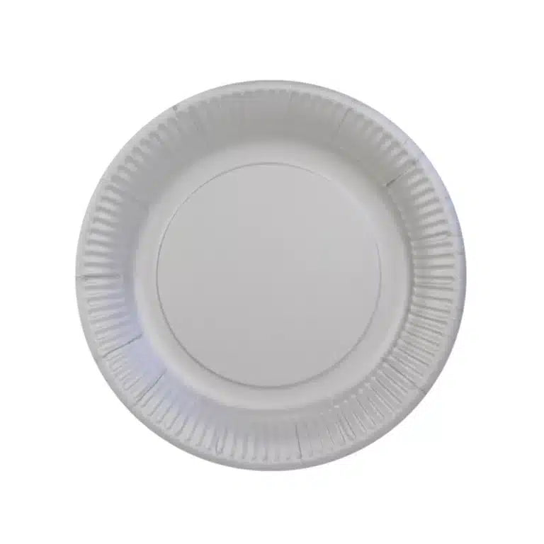 Paper Plates 23cm A Pack Of 20pcs