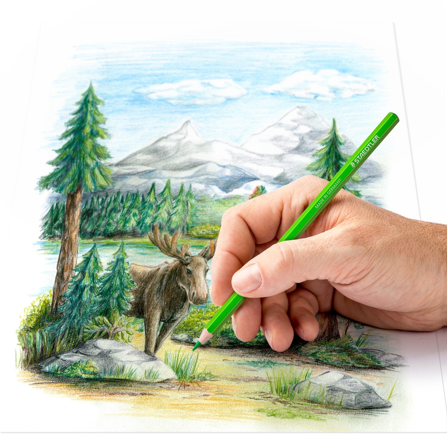 Staedtler Coloured Pencil A Pack Of 24pcs