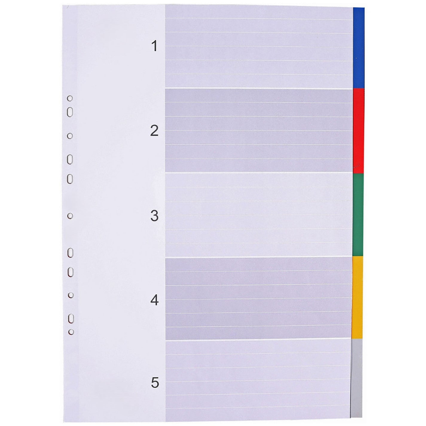 A4 Lands Plastic Dividers By 12pcs