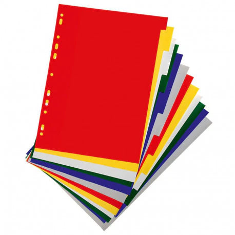 A4 Lands Plastic Dividers By 12pcs