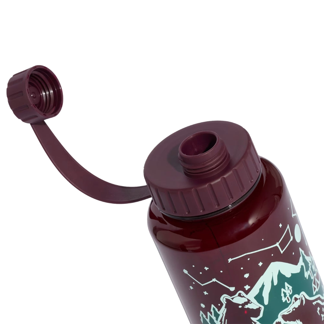 Adidas Terrex Water Bottle 1L - Maroon