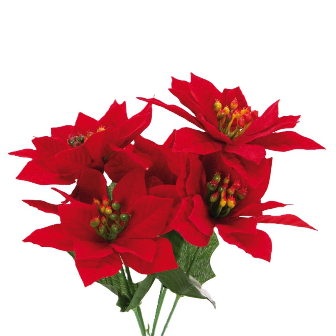 Christmas Star Bouquet Red