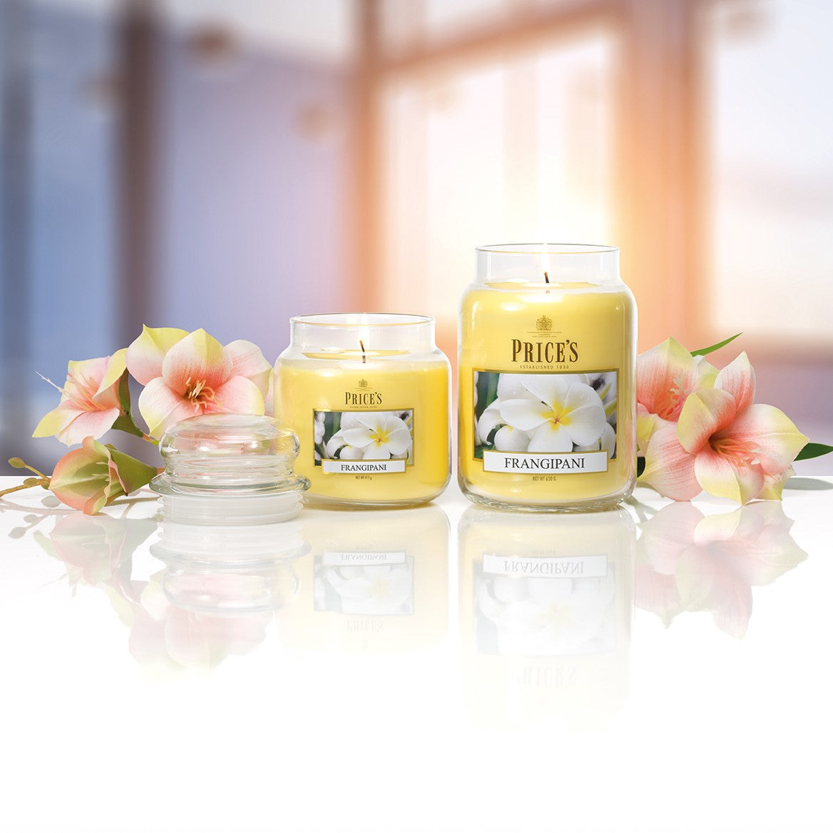 Price's Candles - Large Jar Candle - Frangipani 630gr