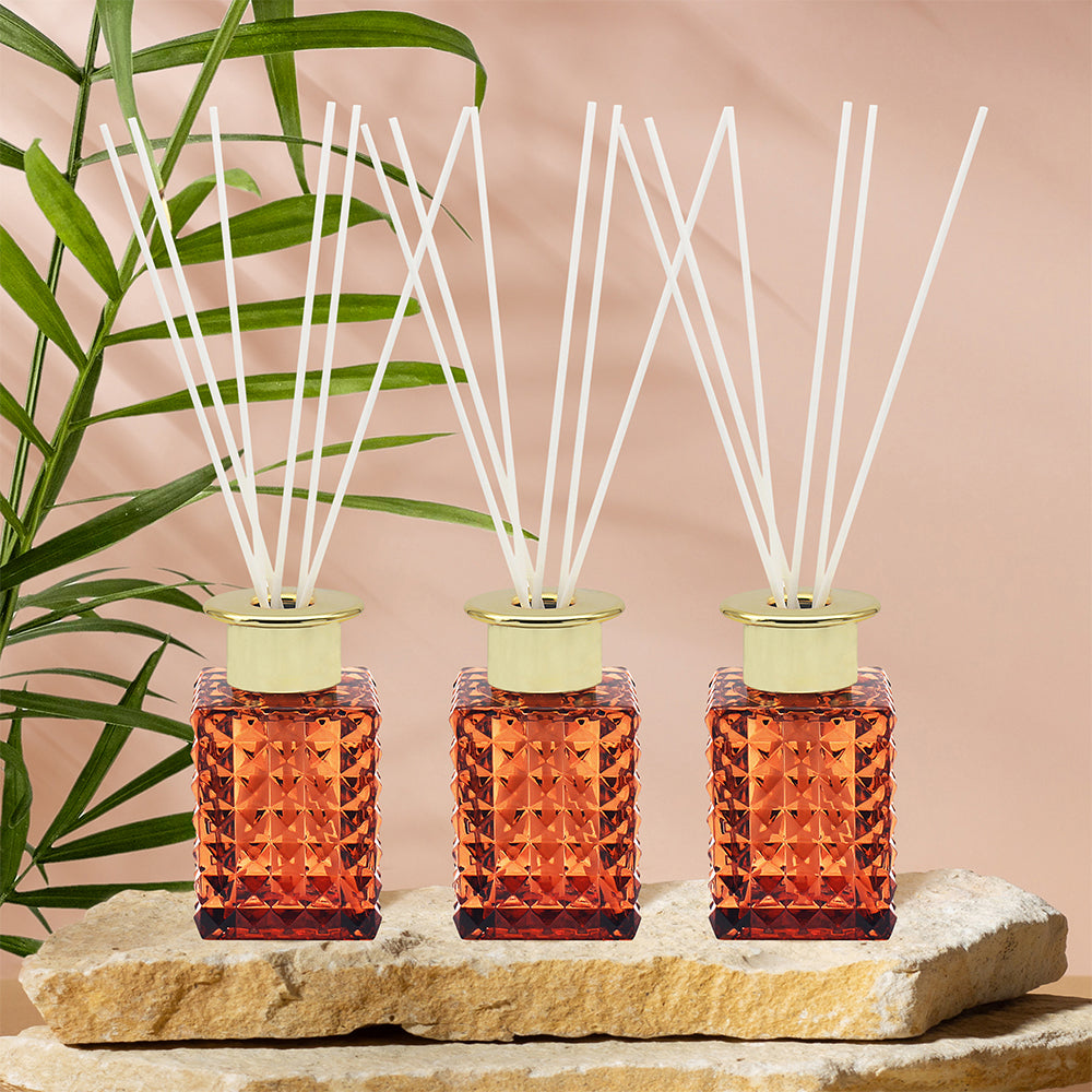 Diffuser Amber & Sandalwood 3 x 80ml LP72807