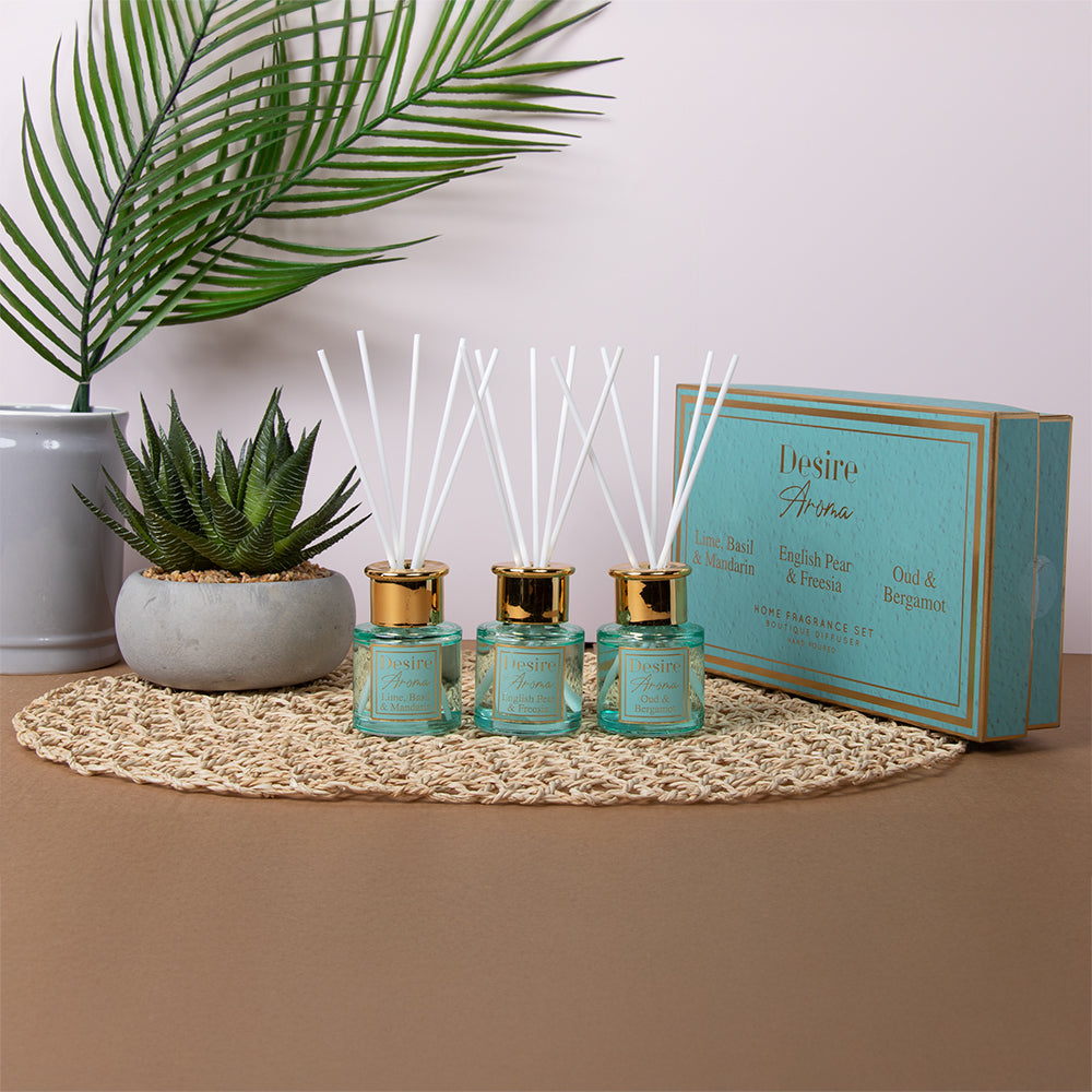 L&P - Maison Parfum - Boutique Reed Diffuser 50ml A Set Of 3pcs
