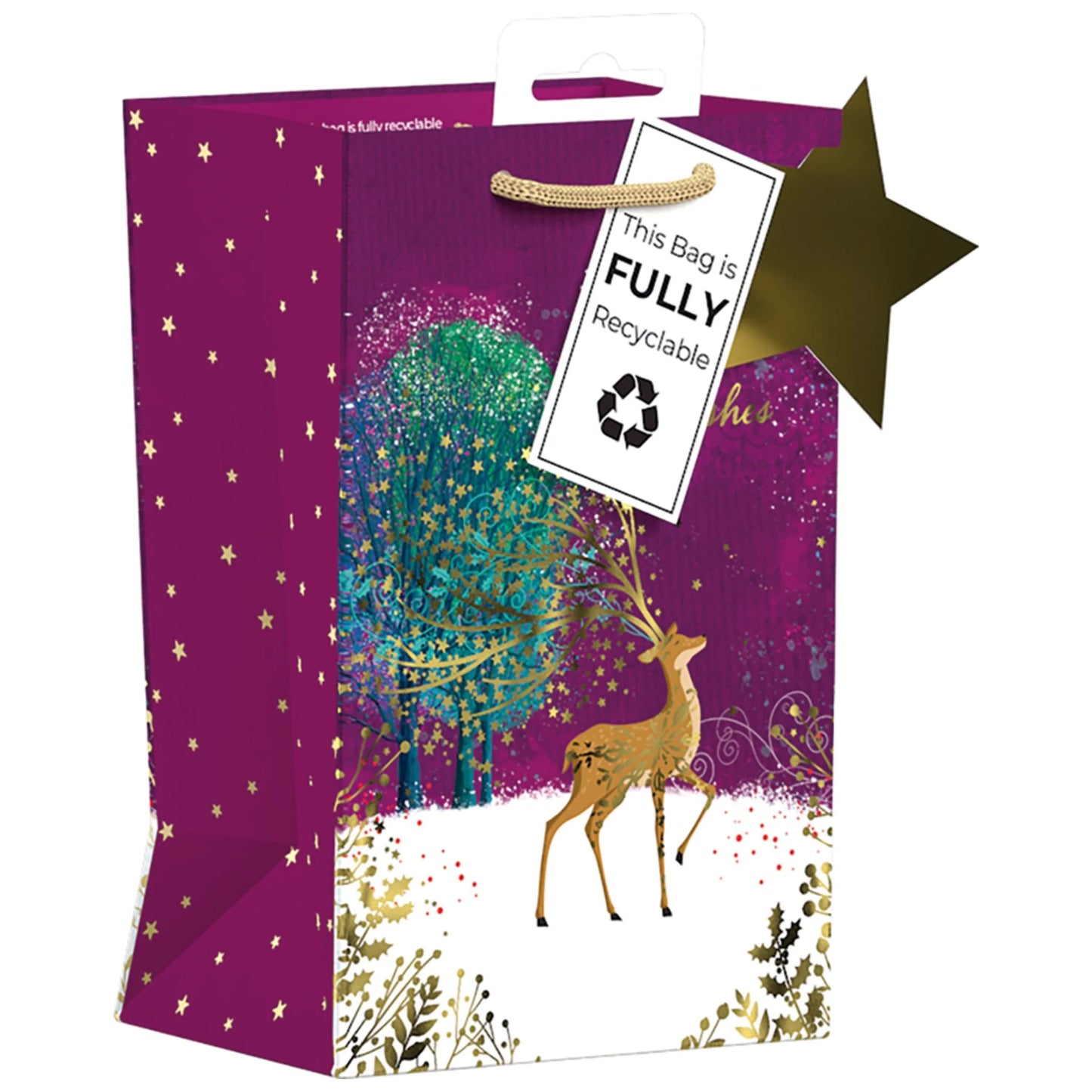 Giftmaker Christmas Bag Small 20 x 13cm - Whimsical Reindeer