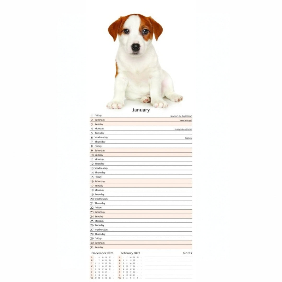 Super Slim Tallon Calendar - 2027 - Dogs & Puppies x 1pc Assortment