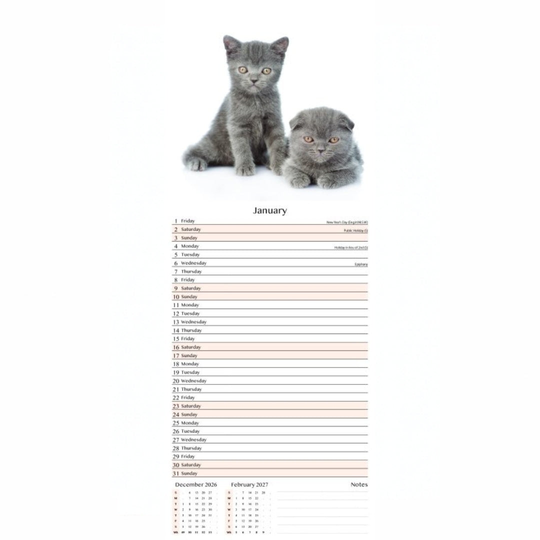 Super Slim Tallon Calendar - 2027 - Cats & Kittens x 1pc Assortment