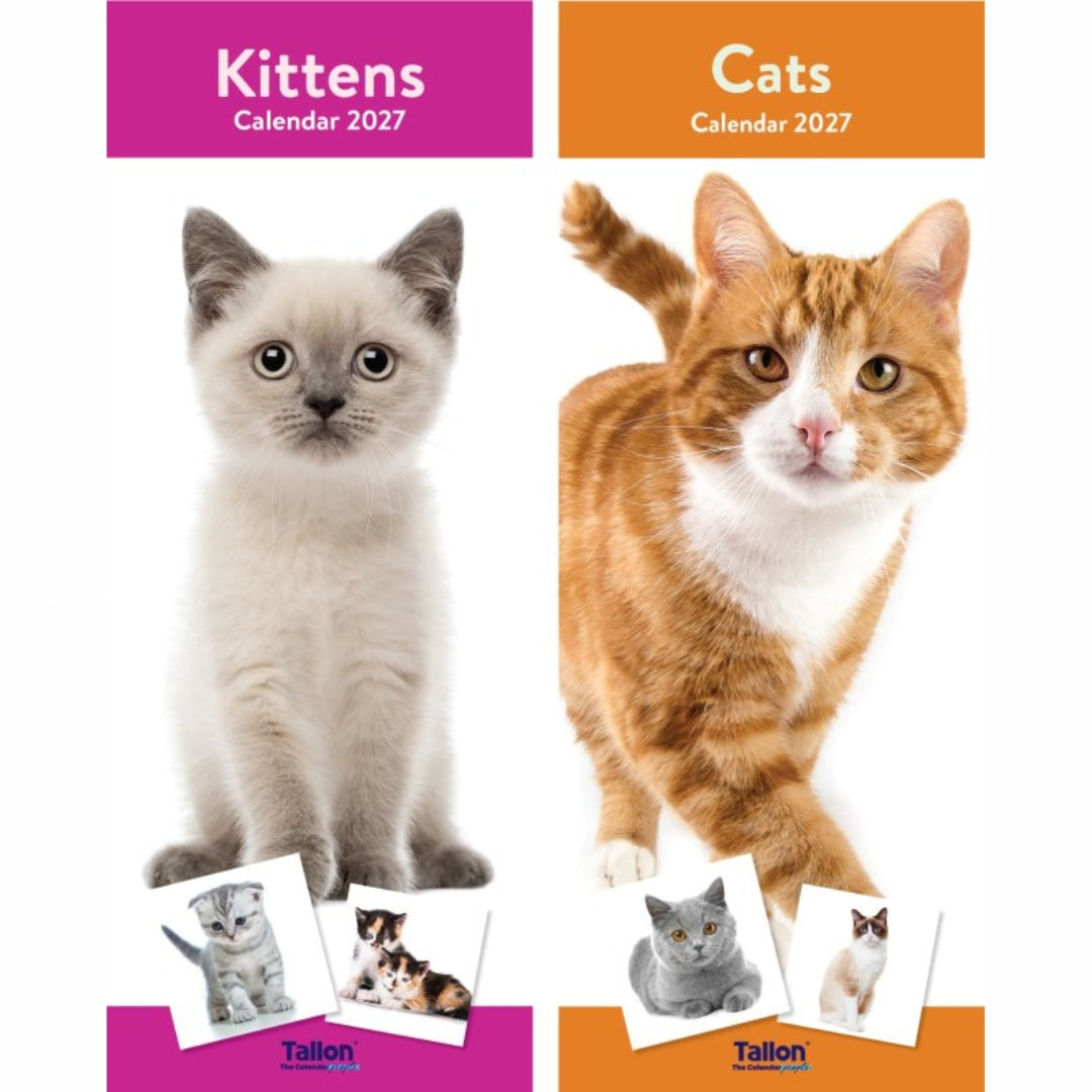 Super Slim Tallon Calendar - 2027 - Cats & Kittens x 1pc Assortment