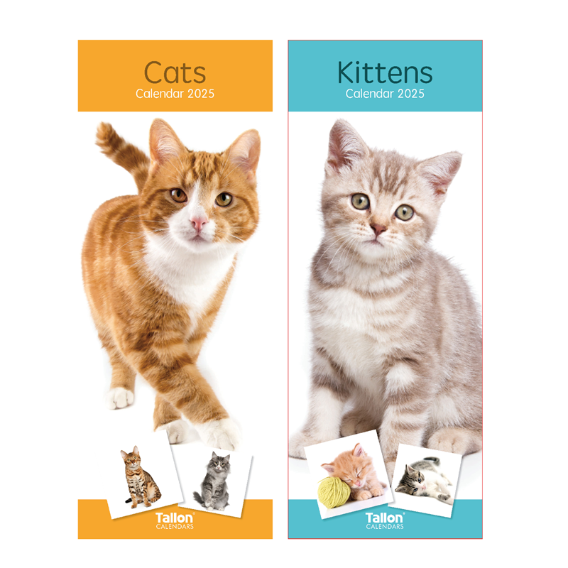 2025 Tallon Super Slim Calendar x 1pc Assortment - Cats & Kittens