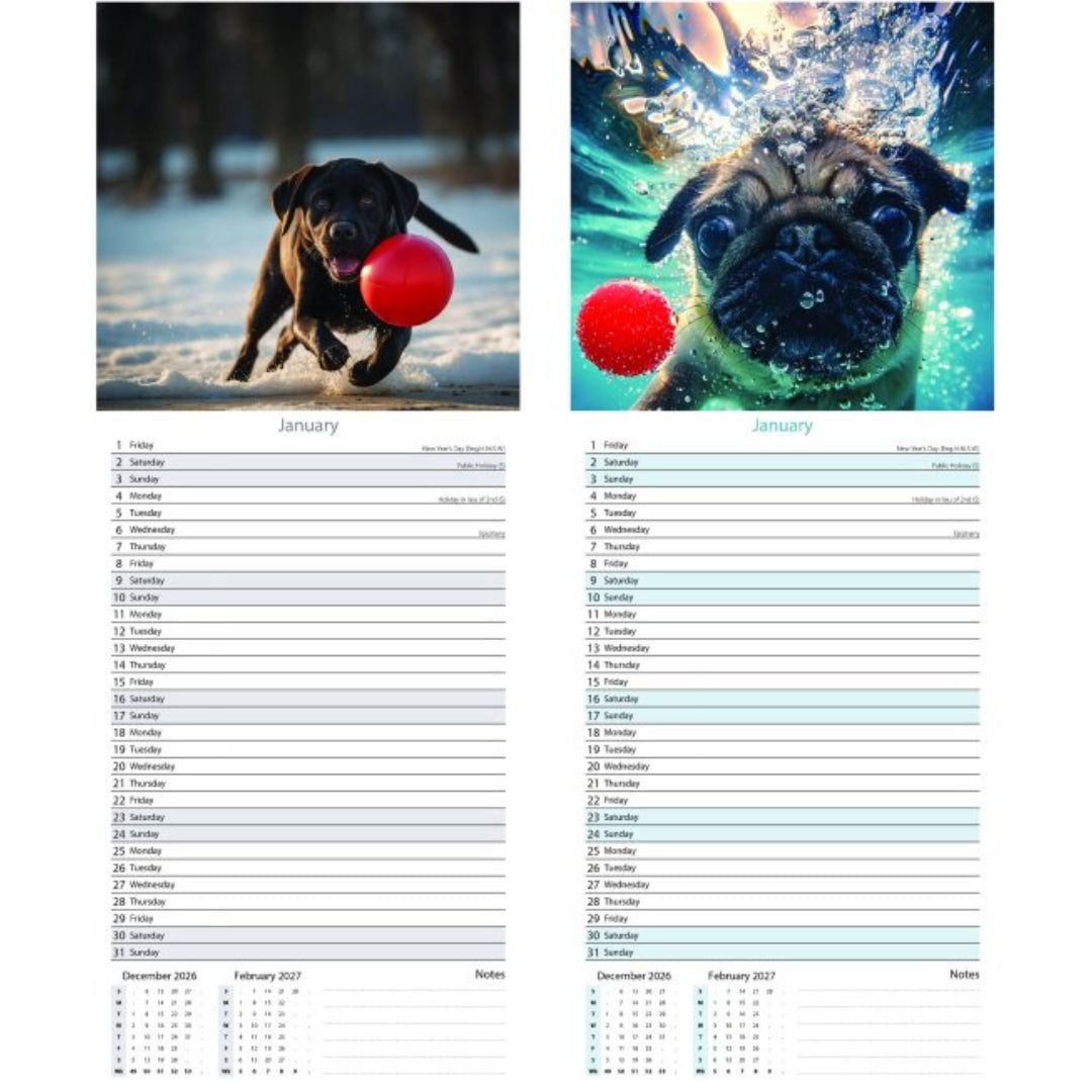 Super Slim Tallon Calendar - 2027 - Fetch x 1pc Assortment