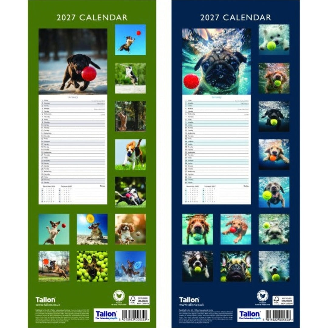 Super Slim Tallon Calendar - 2027 - Fetch x 1pc Assortment