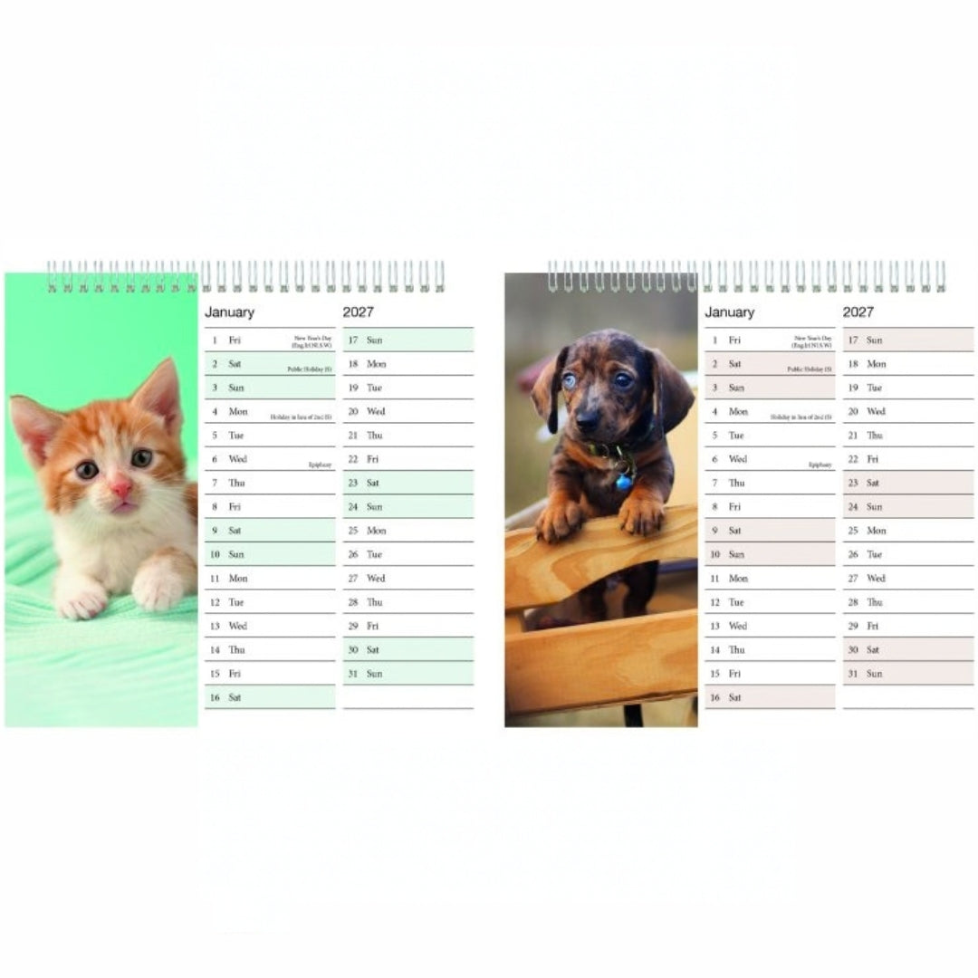 Tallon Desk Calendar - 2027 - Kittens & Puppies x 1pc Assortment