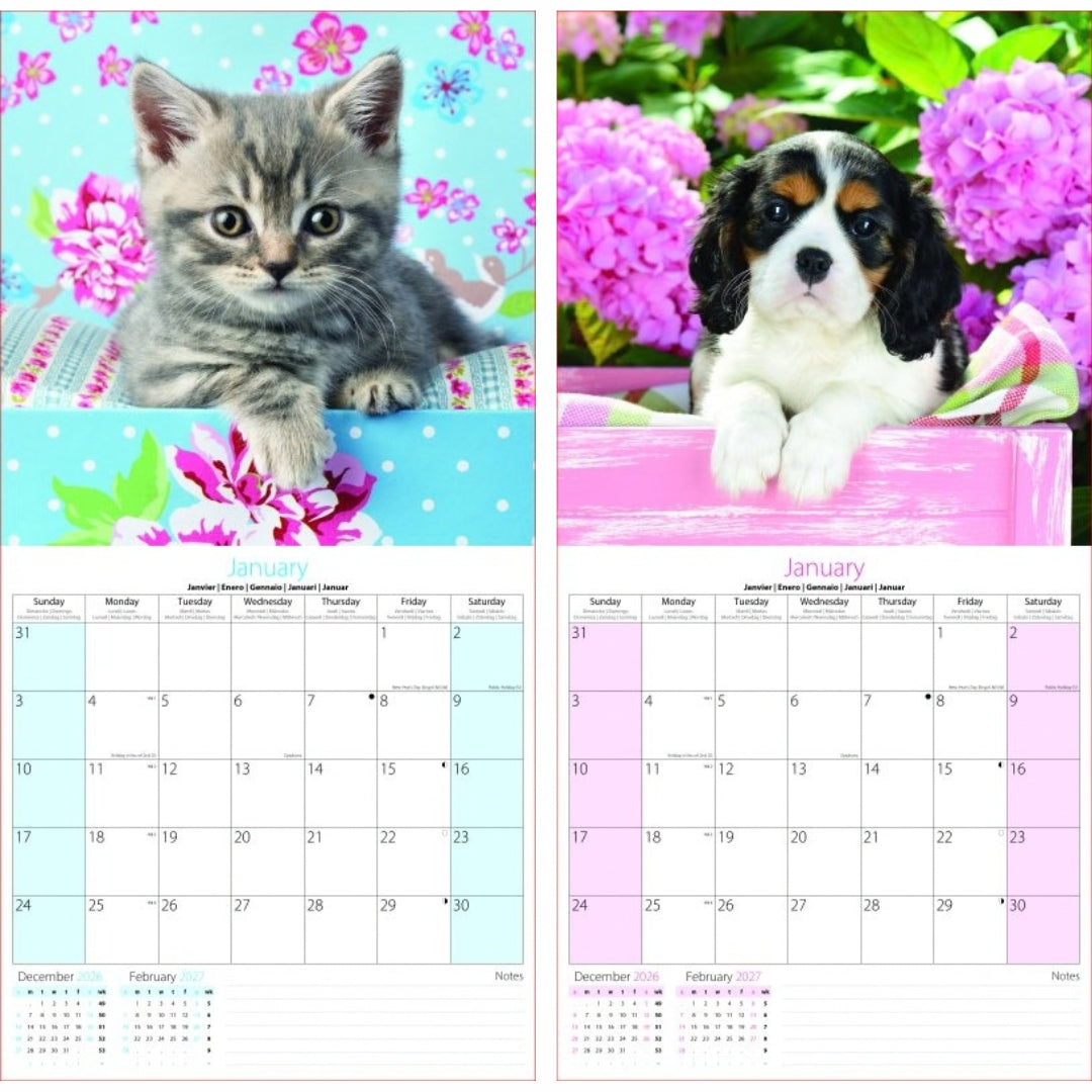 Square Tallon Calendar - 2027 - Kittens & Puppies x 1pc Assortment