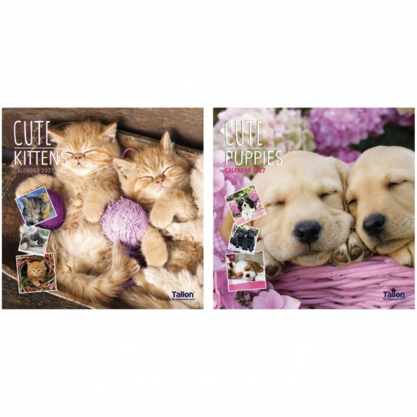 Square Tallon Calendar - 2027 - Kittens & Puppies x 1pc Assortment