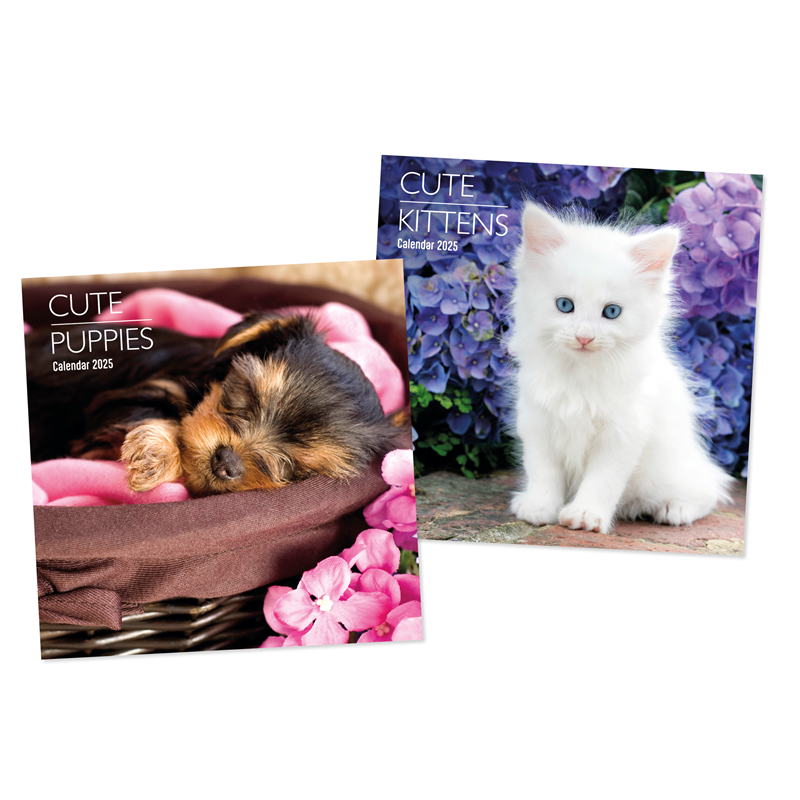 2025 Tallon Square Calendar x 1pc Assortment - Puppies & Kittens