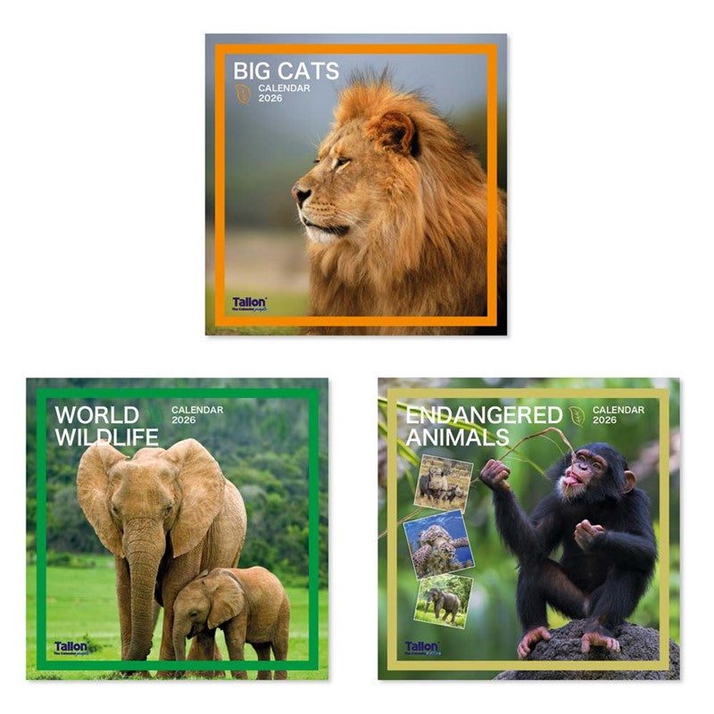 Tallon Calendar Square 2026 - Big Cats, Animals & Wildlife x 1pc Assortment