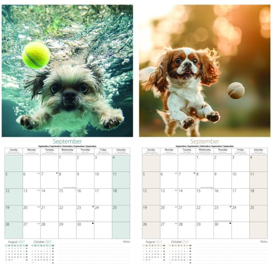Square Tallon Calendar - 2027 - Fetch x 1pc Assortment