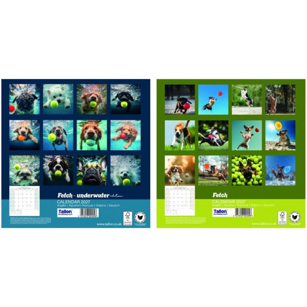 Square Tallon Calendar - 2027 - Fetch x 1pc Assortment