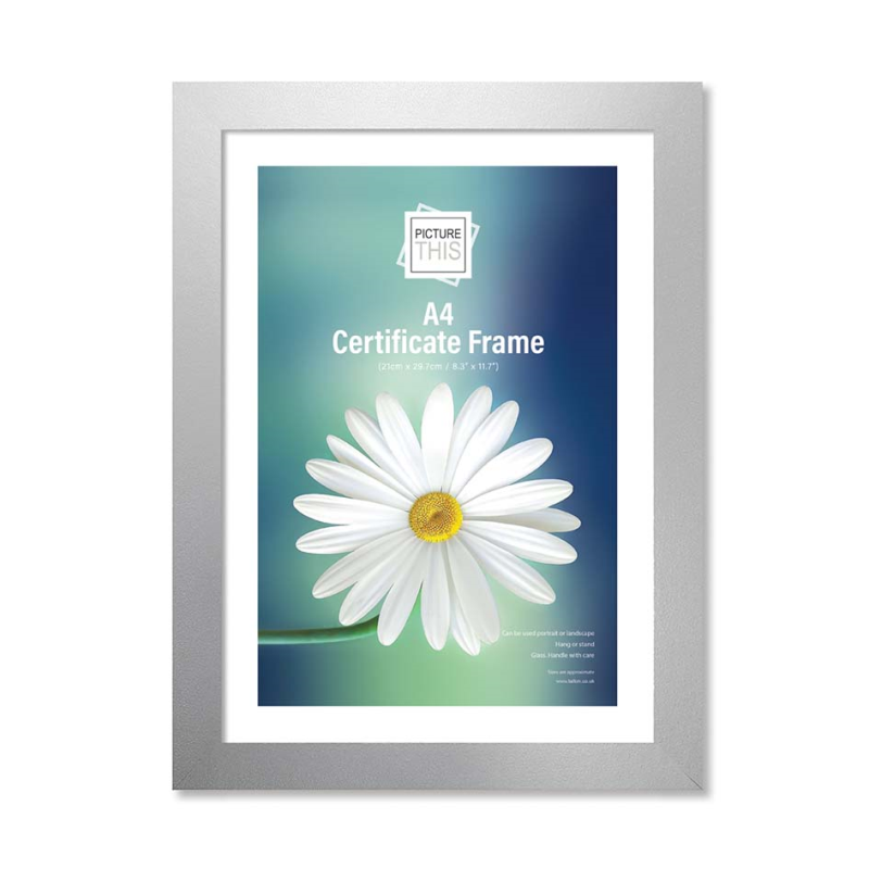 Tallon Silver Effect Photo Frame - A4