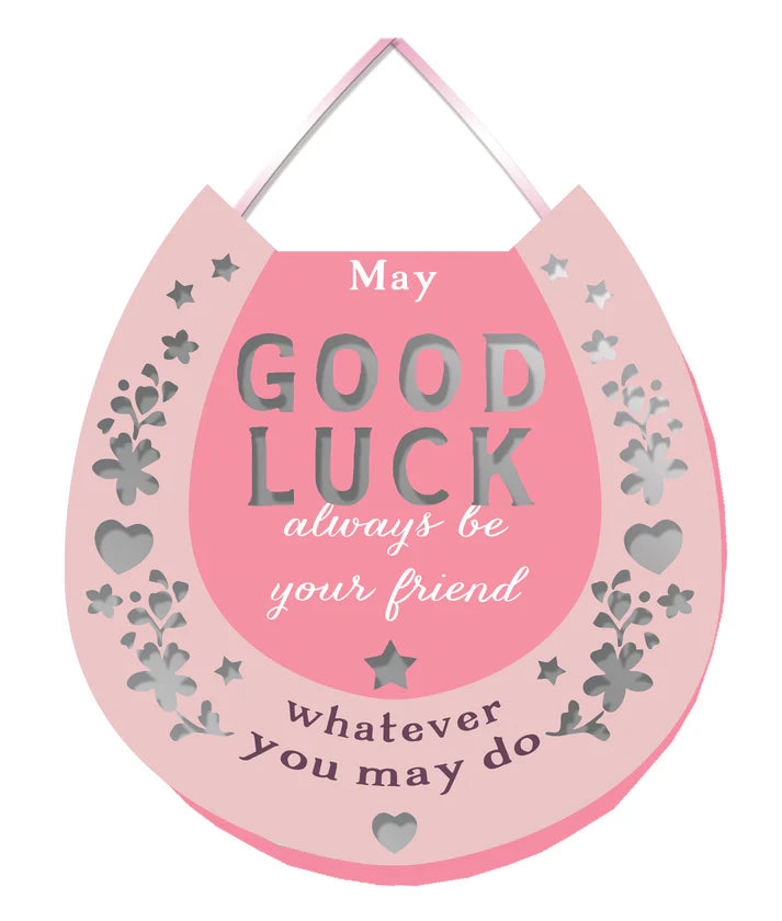 More Than Words Mirror Plaque 10.5 x 11cm - Good Luck
