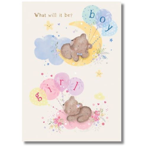 Noel Tatt What Will It Be? Boy Or Girl - Greeting Card
