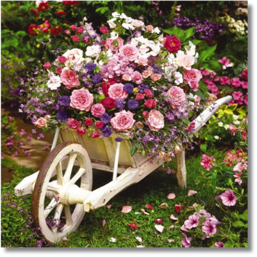 Noel Tatt Blooming Barrow - Blank Greeting Card