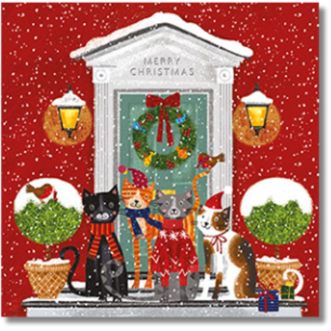 Noel Tatt Christmas Cats A Box Of 12 Greeting Cards